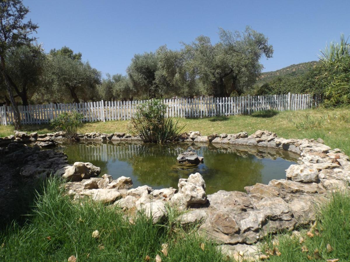 El Venero De Mostoles Constantina Exteriör bild