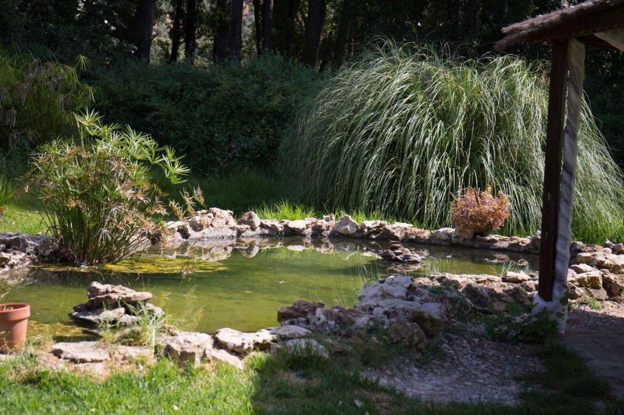 El Venero De Mostoles Constantina Exteriör bild